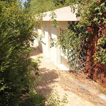 Le Petit Pez سان نازير